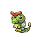 Caterpie