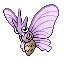 Venomoth