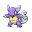 Wartortle